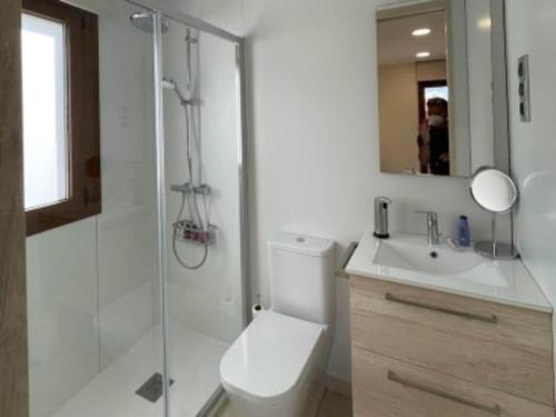 a bathroom with a shower and a toilet and a sink at Only adults rural house in Burgos in Barbadillo del Mercado
