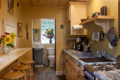 a kitchen with a sink and a toilet in it at Rush River Cottage & Gardens in Ellsworth