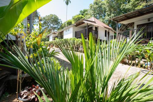 En have udenfor Baan Sawasdee Resort