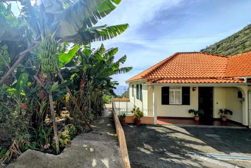 Fotografie z fotogalerie ubytování Banana Lovers v destinaci Ribeira Brava