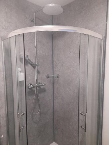 ディドコットにあるGreenviewのバスルーム(ガラス張りのシャワー付)が備わります。