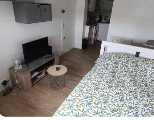 a bedroom with a bed and a flat screen tv at Charmant petit Studio a Dax in Dax