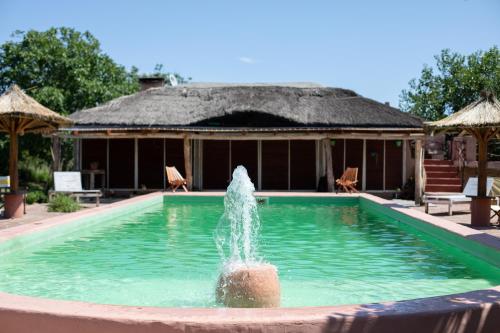 une fontaine au milieu d'une piscine dans l'établissement Cabañas Bendita Tierra - Calandrias, à Los Molles