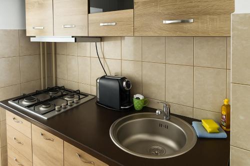 a kitchen with a sink and a stove at Salcia Riverside Apartment in Galaţi