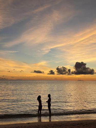 ゲストハウスの近くで見られる自然の景観