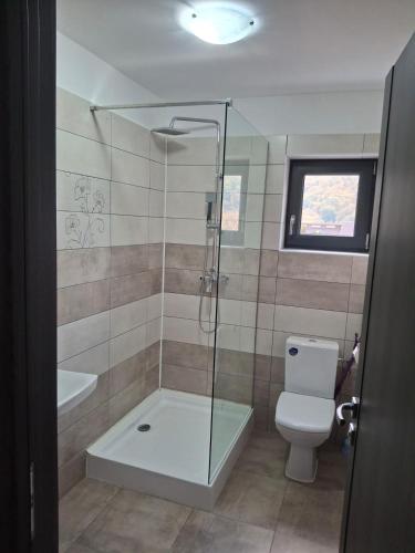 a bathroom with a shower and a toilet at Pensiunea Silver in Caciulata