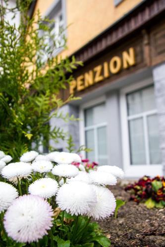 Φωτογραφία από το άλμπουμ του Penzion 43 σε Bor