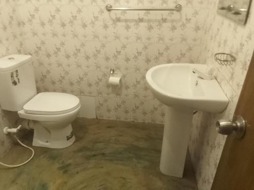 埃拉New Grand Mud的带马桶和水槽的浴室