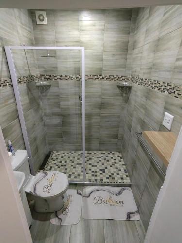 a bathroom with a shower and a toilet at WegkruiperQ in Beaufort West