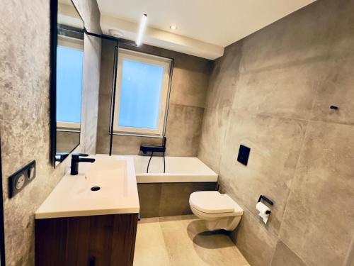 BischoffsheimにあるPetite maison indépendante avec garage attenantのトイレ、洗面台、窓のあるバスルーム