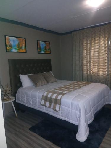 a bedroom with a large bed and a window at Nuday Guesthouse in Vaalwater