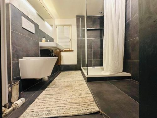 a bathroom with a shower and a toilet and a sink at Studiowohnung im preisgekrönten Denkmal in Groß-Umstadt in Groß-Umstadt