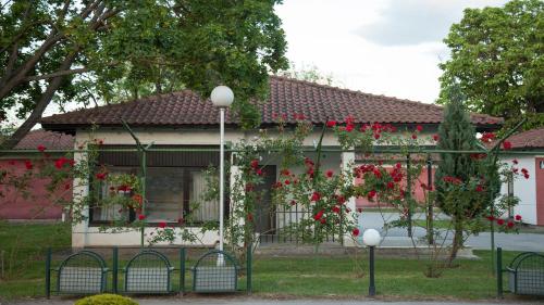a house with red roses growing on a fence at Hotel Bellevue in Skopje