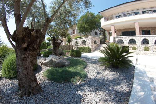 a house with two trees in a yard at Biuk Apartments in Novi Vinodolski