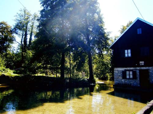 a house sitting on top of a flooded street at Room Bea Rastoke in Slunj