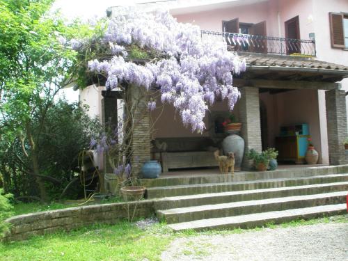 B&B Parco di Veio – Photos 2