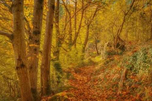 Paisaje cerca de esta casa o chalet