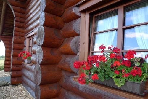a window of a log cabin with red geraniums at U Srubu Sychrov in Sychrov