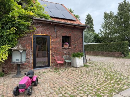 Κήπος έξω από το Alpaca Kot by tinykot