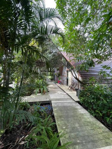 a garden path with trees and plants in front of a house at บ้านนกฮูก อิงสายชล in Ban Khlong Sai