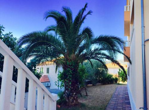 a palm tree in a yard next to a building at Villa Marija in Marina