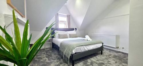 Claude Road Apartments by Switchback Stays photo 3