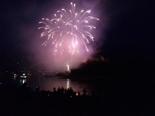a group of people watching fireworks in the sky at Apartments Rose Garden in Děčín