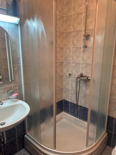 a shower with a glass door next to a sink at Atila Nature Home in Bjelašnica