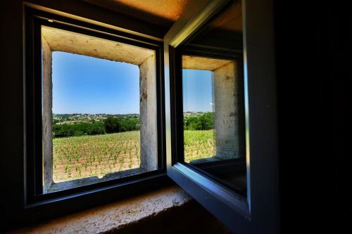 a window with a view of a field of grapes at Masseria Trulli e Vigne in Martina Franca