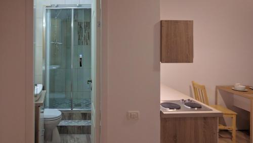 La salle de bains est pourvue de toilettes, d'un lavabo et d'une douche. dans l'établissement BrasovApart Piata Sfatului, à Braşov