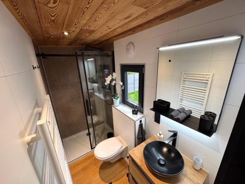 ZeitlarnTiny-House & Wellness Zeitlberg的带淋浴、马桶和水槽的浴室