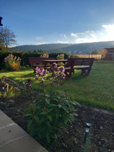 un banco de madera sentado en un campo con flores en Apartmán na kopečku, en Pernink