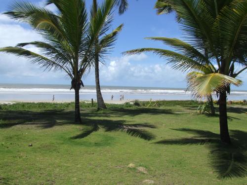 two palm trees on a beach with the ocean at Pousada Lua e Mar in Ilhéus
