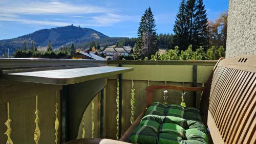 Arber Haus Paula في بايريش أيزنشتاين: بلكونه مع مقعد ومنظر للجبل