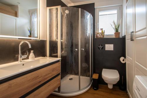 a bathroom with a shower and a toilet and a sink at fien un moje in Borkum
