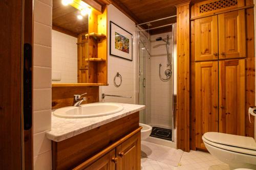 a bathroom with a sink and a toilet at Nido Ampezzano - a short walk from the center in Cortina dʼAmpezzo