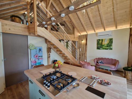 - une cuisine avec une cuisinière dans l'établissement Le Ptit Nid Sous le Chêne, à Xamontarupt