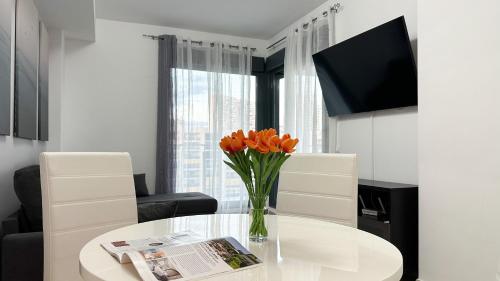 CALA ALTA vibe apartment