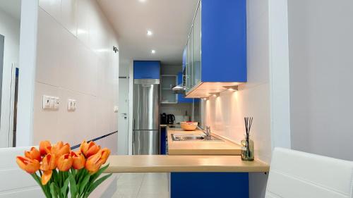 CALA ALTA vibe apartment