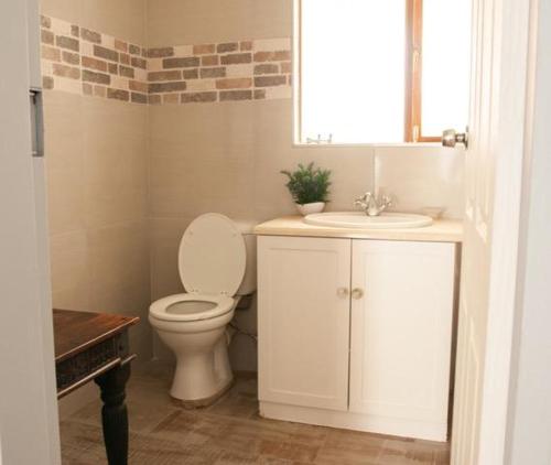 a bathroom with a white toilet and a sink at Miyanwe in Pretoria