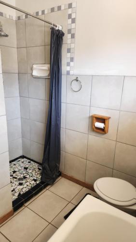 a bathroom with a shower with a toilet at The Hamlet House in Prince Alfreds Hamlet