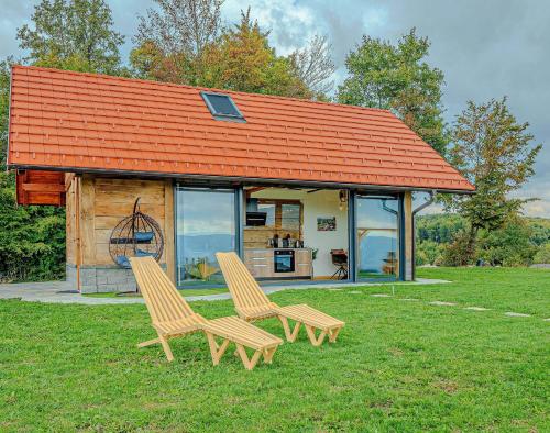 Vineyard cottage Pri mali luži