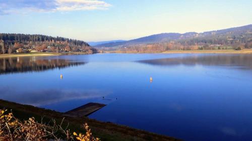 a large lake with ducks on the water at Ferienwohnung Herzmensch in Tiefenbach