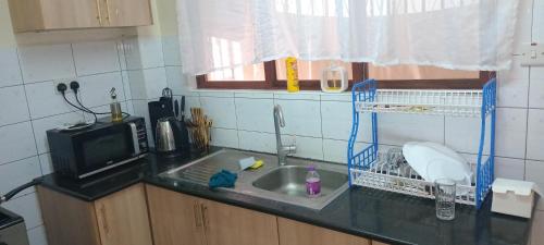 een aanrecht met een spoelbak en een magnetron bij makao apartment in Nairobi