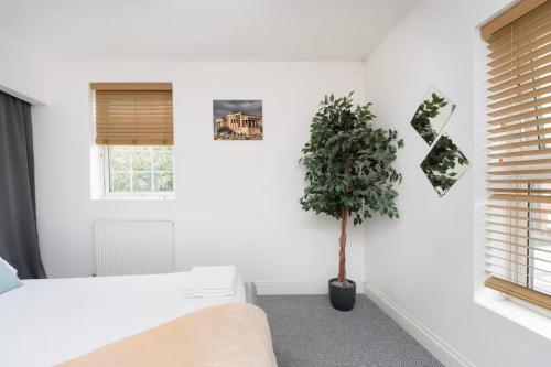 - une chambre avec des murs blancs et une plante en pot dans l'établissement Regalia Living Apartment in Southampton, à Southampton