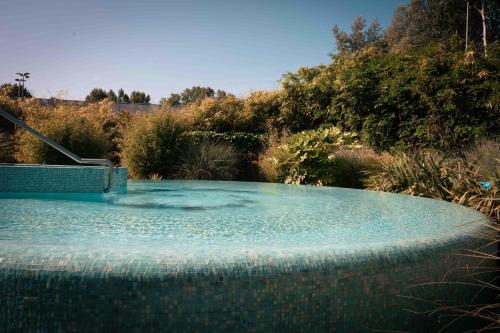 een grote vijver met blauw water in een tuin bij Hotel & Wellness Zuiver in Amsterdam