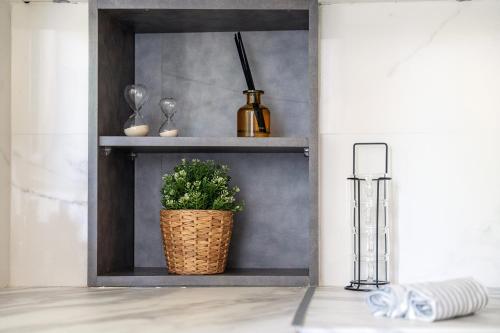 a plant in a basket on a shelf in a room at Γκαρσονιέρα 1 δίπλα στη θάλασσα! in Antikyra