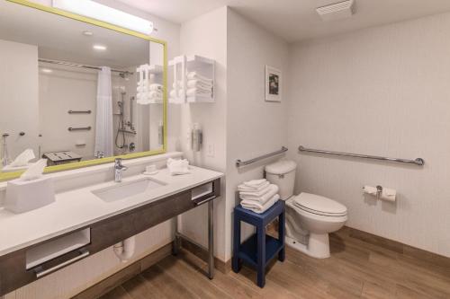 a bathroom with a sink and a toilet and a mirror at Hampton Inn Jasper, AL in Jasper