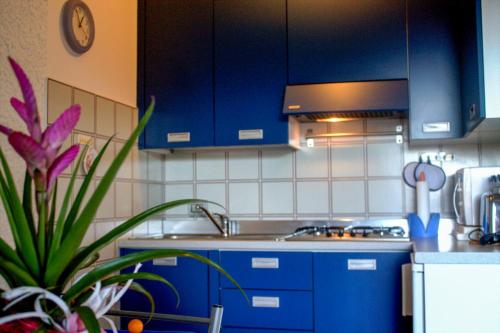 a kitchen with blue cabinets and a plant at Casa Marica in Porto Valtravaglia