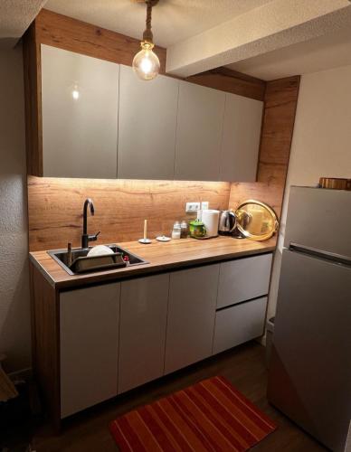 een kleine keuken met een spoelbak en een koelkast bij SUN vikendica in Rožaje